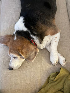 Meet your Posher, Selby